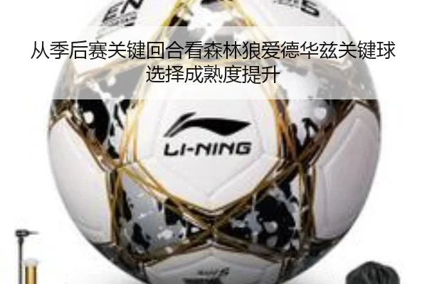 从季后赛关键回合看森林狼爱德华兹关键球选择成熟度提升